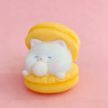 Bubble Buddy Macaron